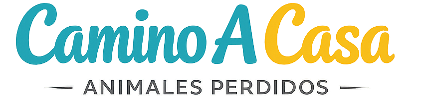 Camino A Casa Animales Perdidos