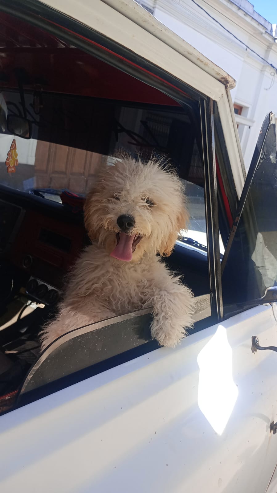 Foto del caso Coco